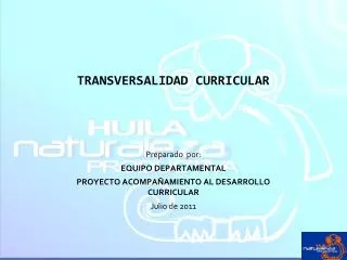 transversalidad curricular
