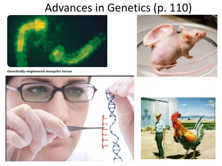 advances in genetics p 110