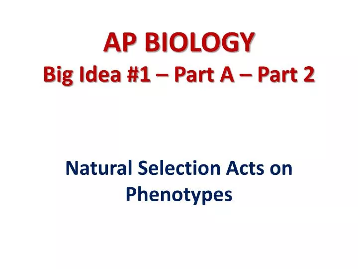 ap biology big idea 1 part a part 2
