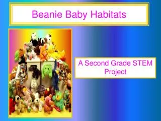 Beanie Baby Habitats