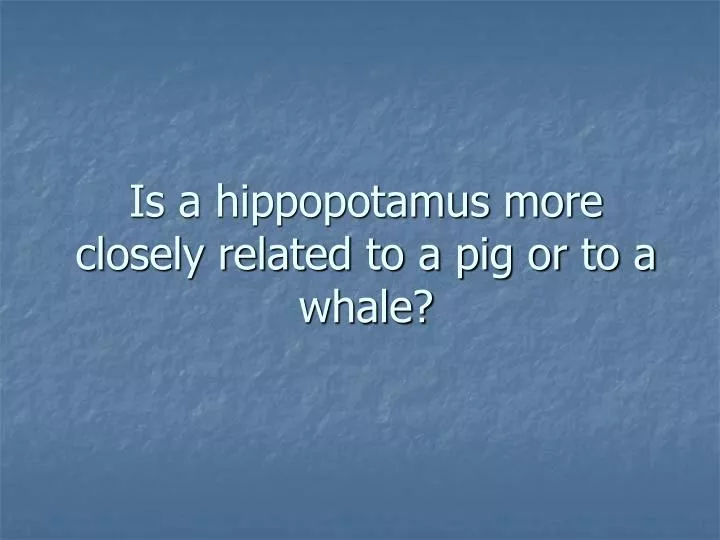 is a hippopotamus more closely related to a pig or to a whale