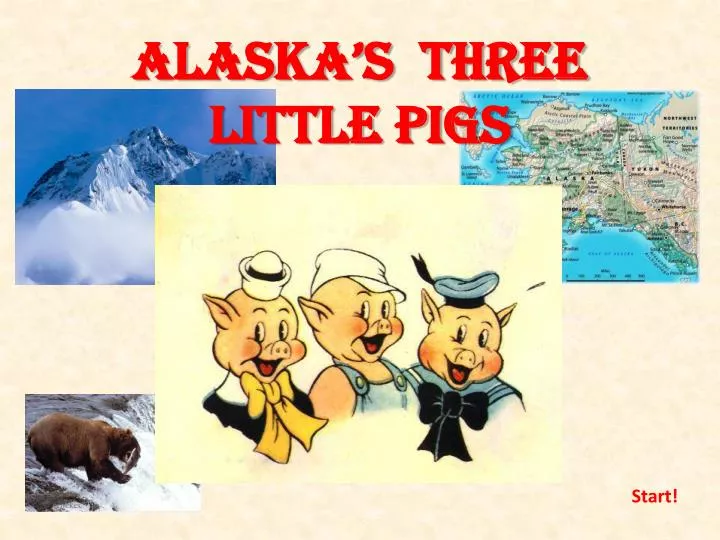 alaska s three little pigs