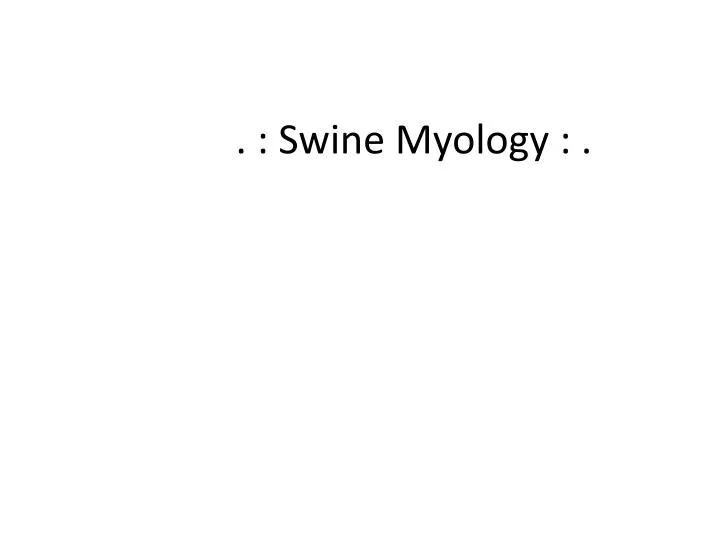 swine myology