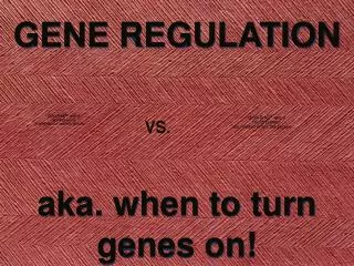 GENE REGULATION