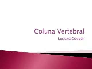 coluna vertebral