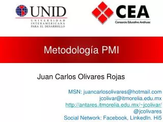 metodolog a pmi