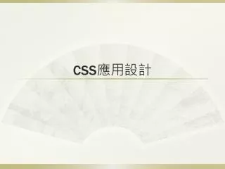 CSS ????