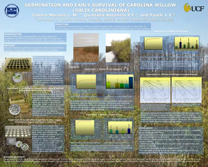 germination and early survival of carolina willow salix caroliniana