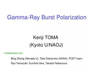 Gamma-Ray Burst Polarization