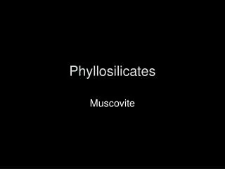 Phyllosilicates