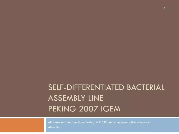 self differentiated bacterial assembly line peking 2007 igem
