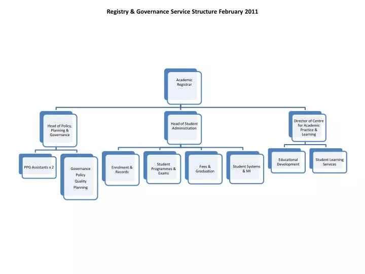 registry governance service structure february 2011