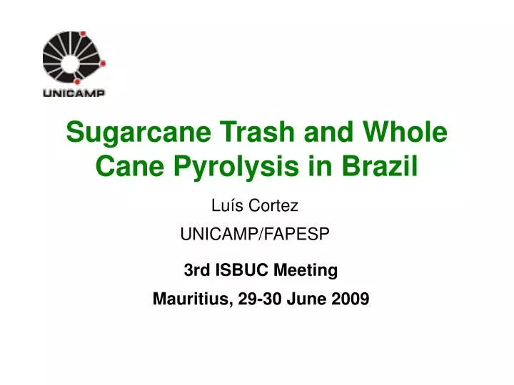 sugarcane trash and whole cane pyrolysis in brazil