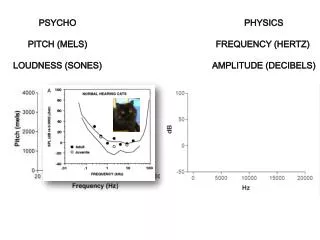 PHYSICS Frequency (Hertz) Amplitude (Decibels)