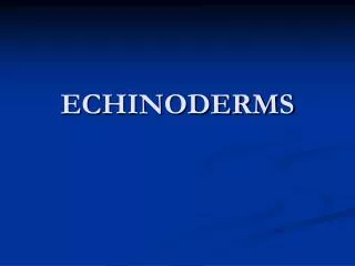 ECHINODERMS