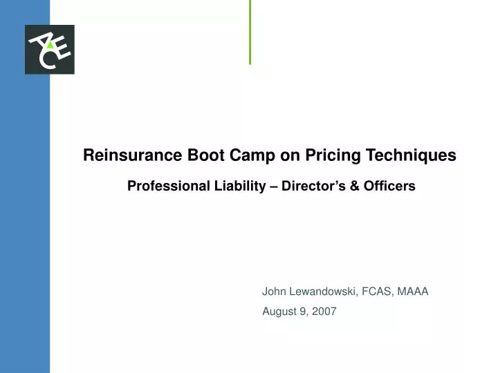 reinsurance boot camp on pricing techniques professional liability director s officers