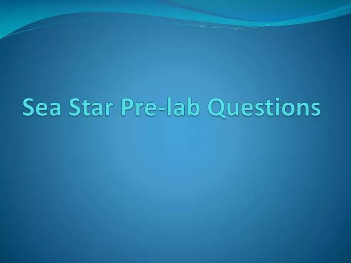 sea star pre lab questions