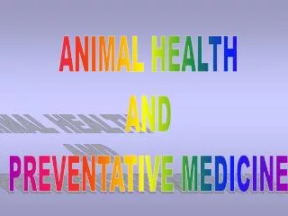 ANIMAL HEALTH AND PREVENTATIVE MEDICINE