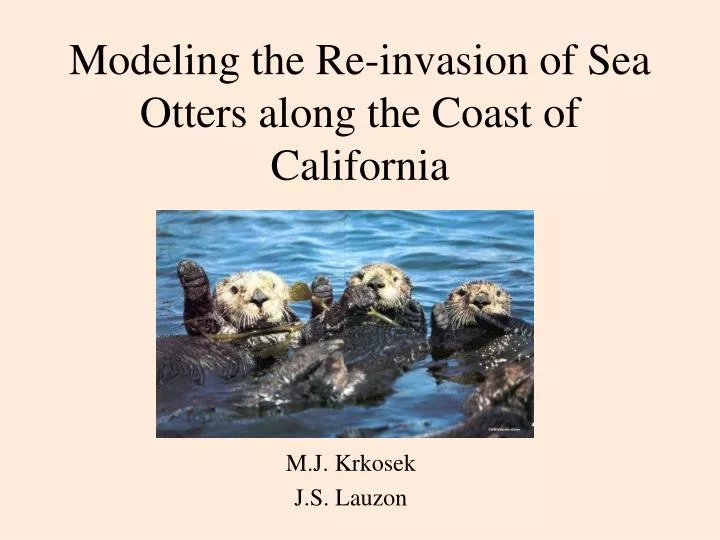 modeling the re invasion of sea otters along the coast of california