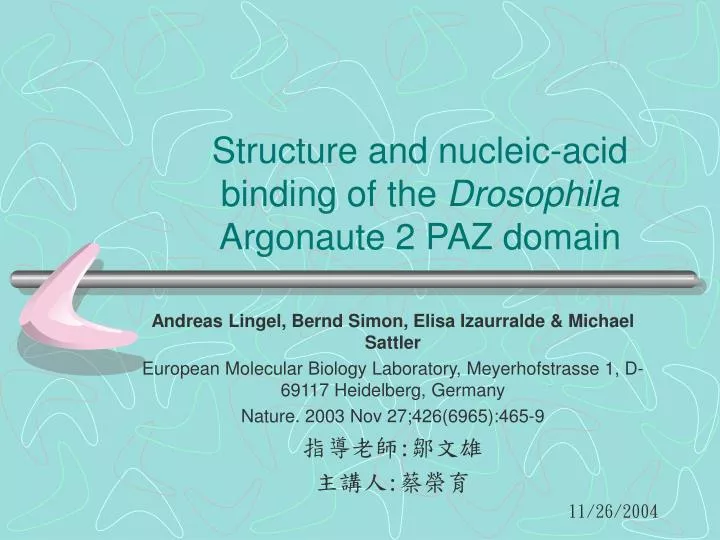 structure and nucleic acid binding of the drosophila argonaute 2 paz domain