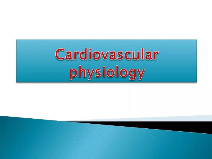 cardiovascular physiology