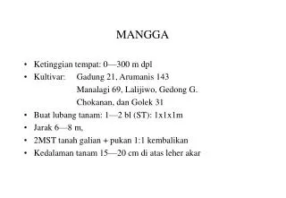 mangga
