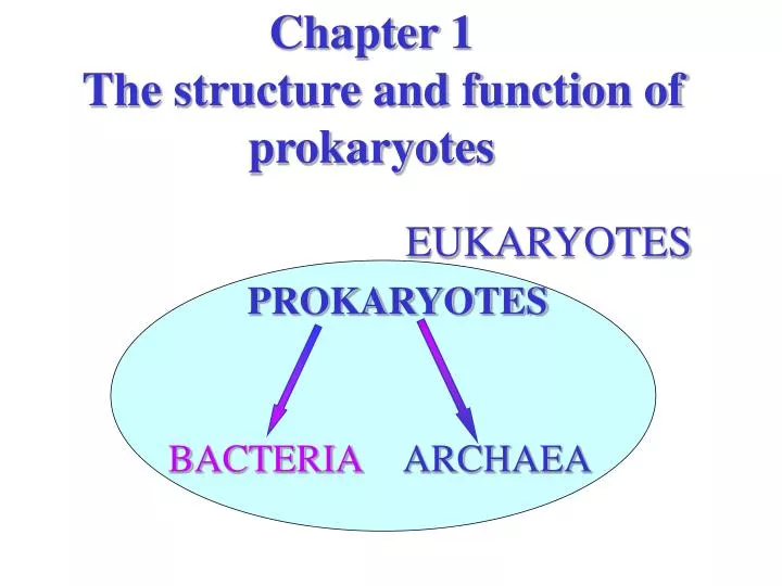 chapter 1 the structure and function of prokaryotes