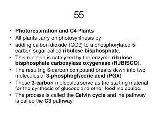 Photorespiration and C4 Plants All plants carry on photosynthesis by