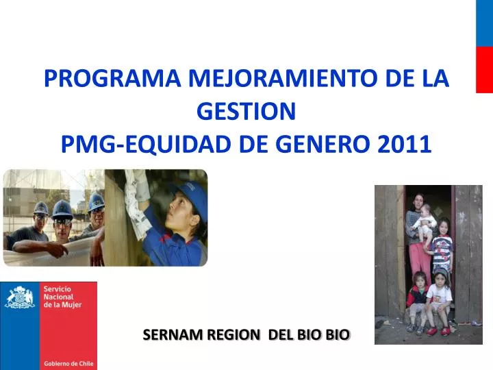 programa mejoramiento de la gestion pmg equidad de genero 2011 sernam region del bio bio