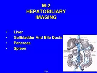 M-2 HEPATOBILIARY IMAGING