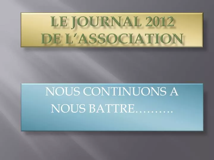 le journal 2012 de l association