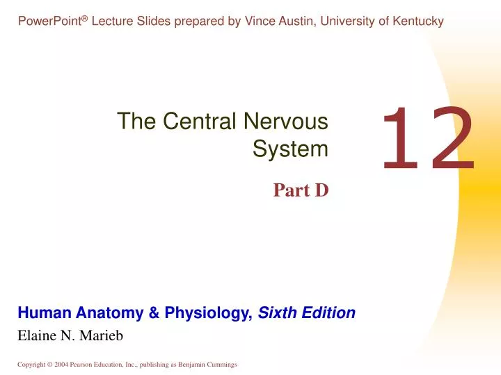the central nervous system part d
