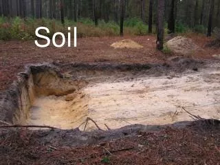 Soil