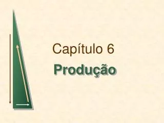 cap tulo 6