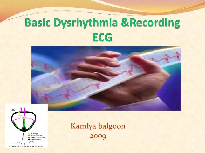 basic dysrhythmia recording ecg