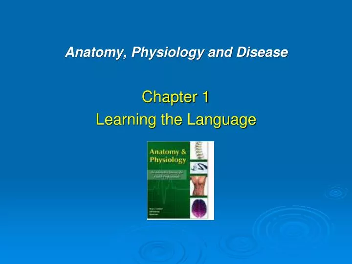 anatomy physiology and disease
