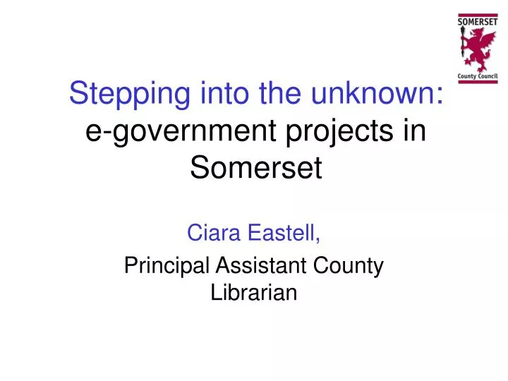 stepping into the unknown e government projects in somerset