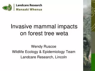 Invasive mammal impacts on forest tree weta