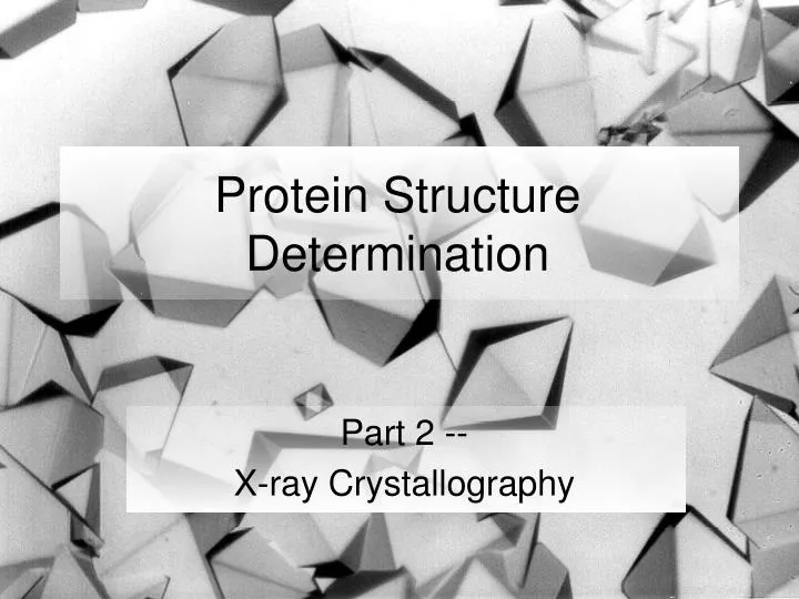 protein structure determination