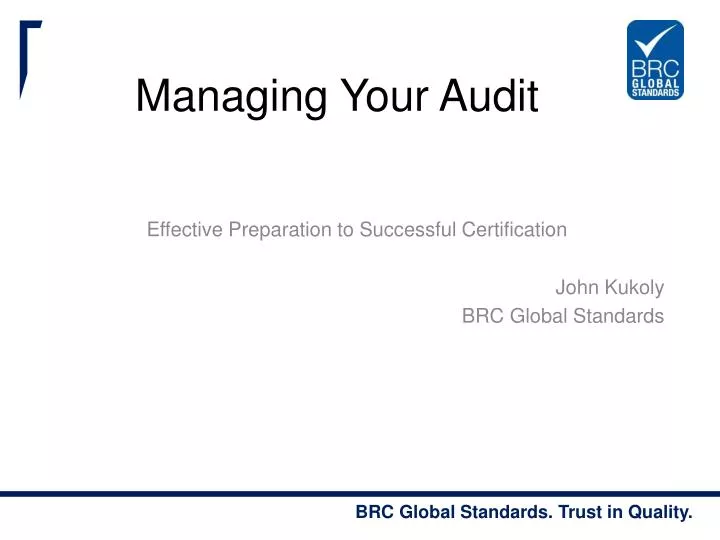 managing your audit