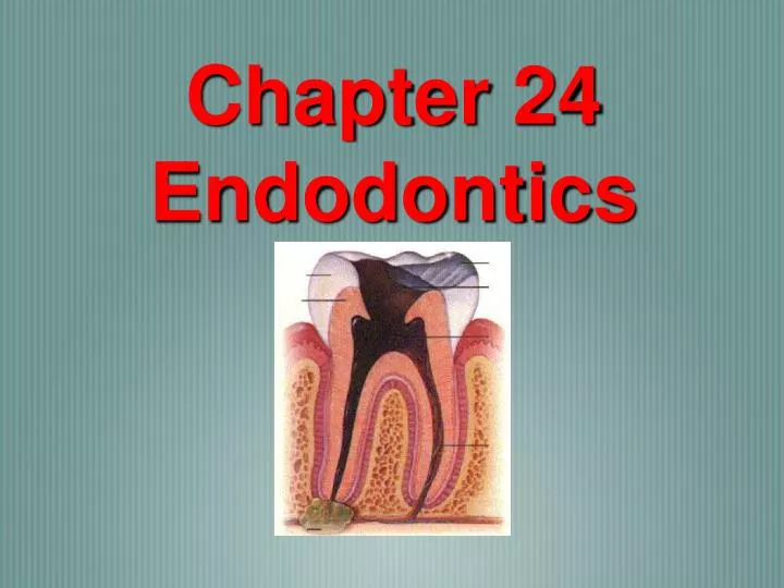 chapter 24 endodontics
