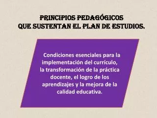 principios pedag gicos que sustentan el plan de estudios