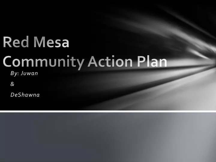 red mesa community action plan