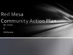 Red Mesa Community Action Plan