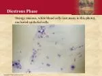 Understanding Estrous Cycle Stages in Rats Using Vaginal Smear Techniques - slide 1