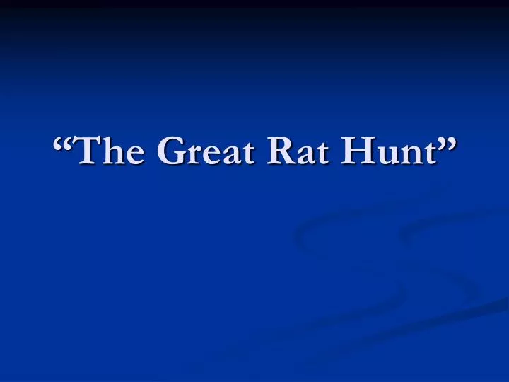 the great rat hunt
