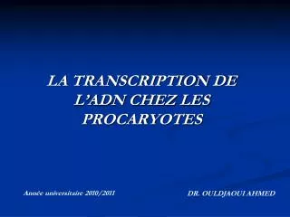 la transcription de l adn chez les procaryotes