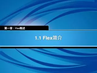 1.1 Flex ??
