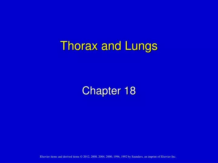 thorax and lungs