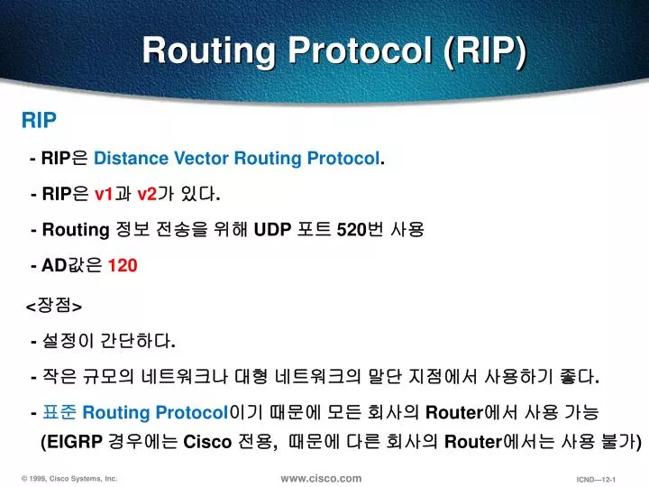routing protocol rip
